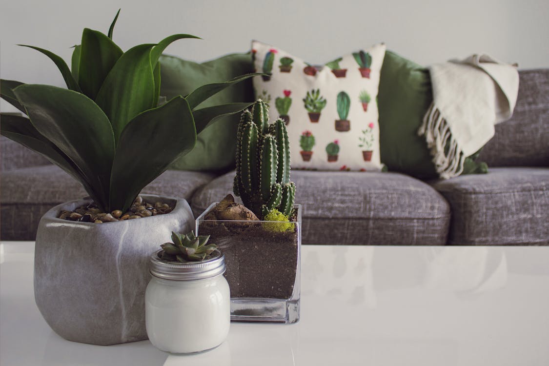 Profitable Dropshipping Niches: Home Goods
