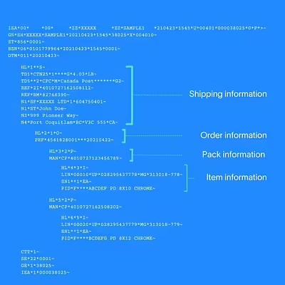EDI 856 example document showing segment structure including ISA, GS, ST, BSN, and HL loops