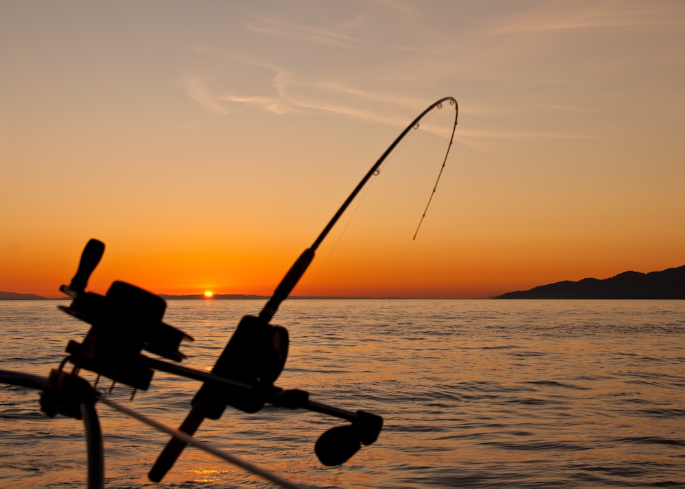 Fishing rod being used to fish.