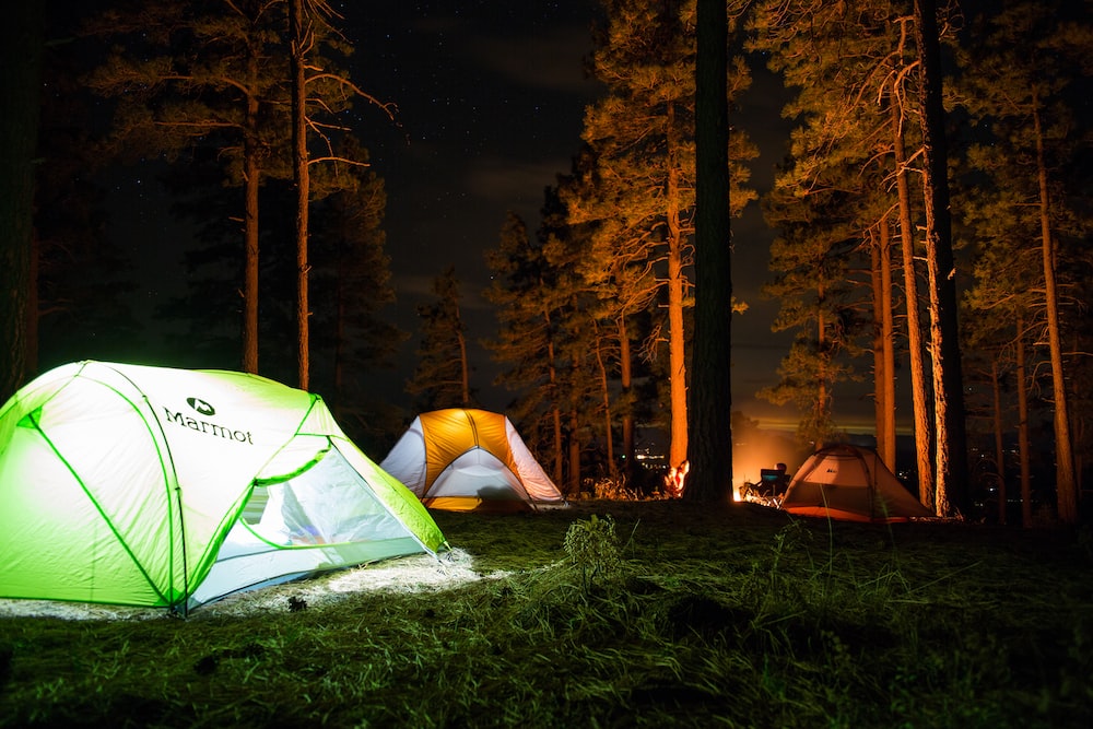 Camping tents set up in the woods.